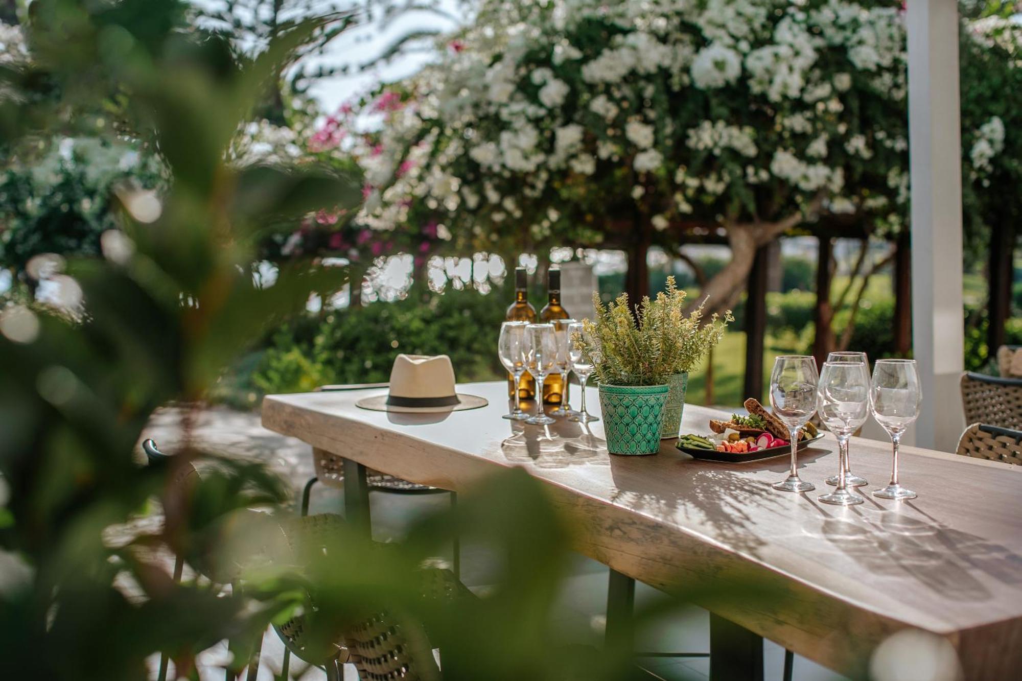 Nissi Beach Resort Αγία Νάπα Εξωτερικό φωτογραφία